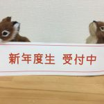 ３月２９日(日)『新年度説明会』開催！