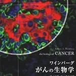 興味を極める中学生
